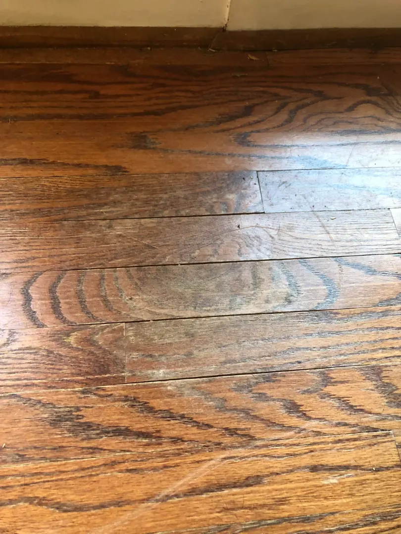 Warped Flooring