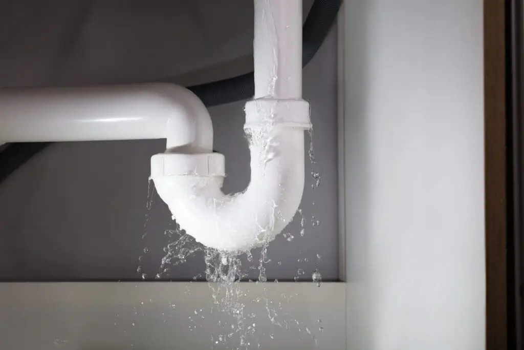 Leaks in Drain