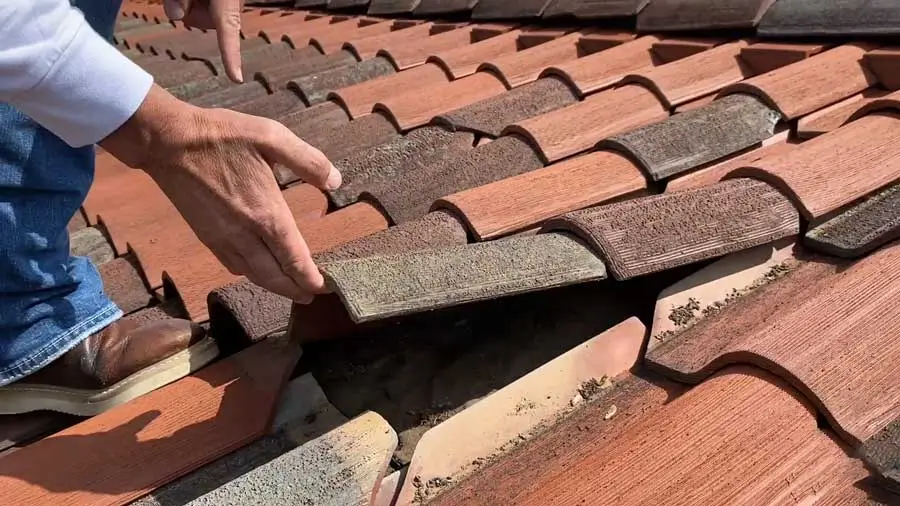Loose Tile Replacement