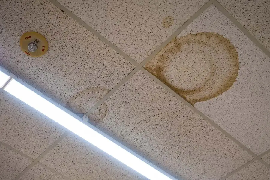 Minor Water Damage Fix