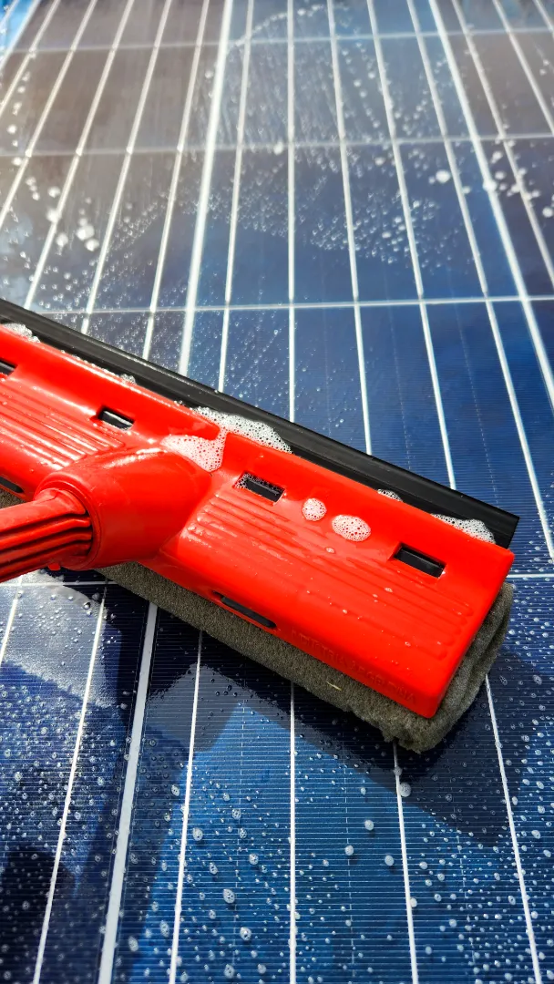 Panel Cleaning & Maintenance