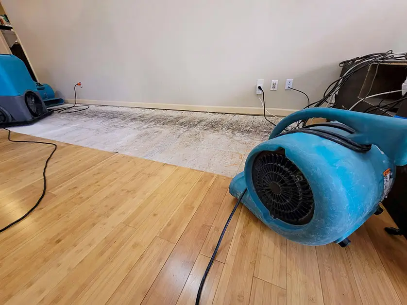 Post-Damage Restoration
