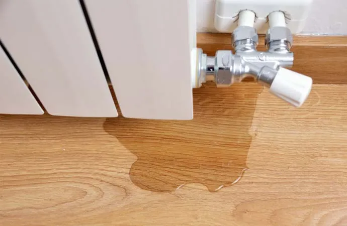 Appliance Leaks