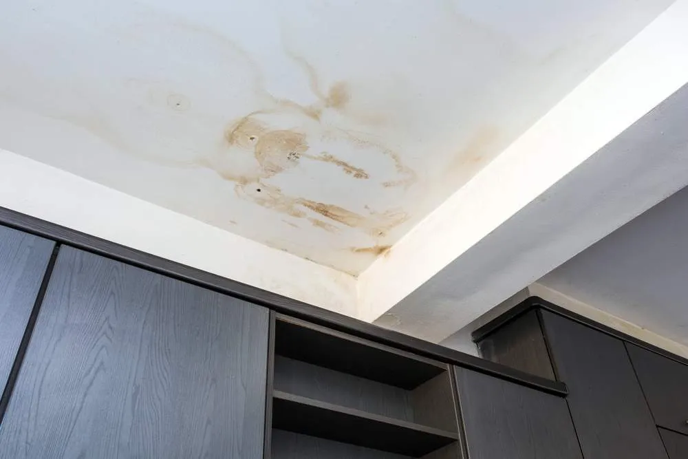 Roof Leaks & Storms